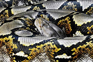 Debugging Python with pdb: A Comprehensive Guide