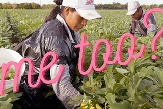 Female Migrant Farmworkers and Sexual Violence