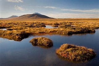 The debate over land-use in Scotland is getting left behind