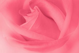 Menopause
 A nightmare, an opportunity for older women to rebel and speak out, a chance to…
