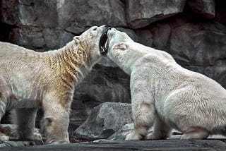 Fighting Problems With Bigger Problems