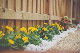 A wooden fence with flowers plated beside it.