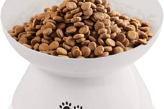 Immaculife Ceramic Raised Cat Food Bowl for Comfort and Easy Swallowing | Image