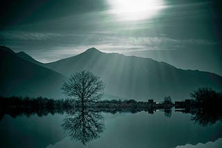 a lovely late evening landscape with shades of black and light green