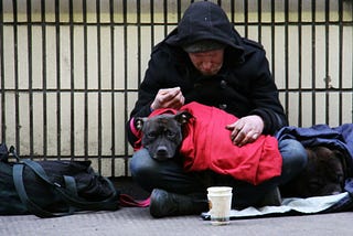 Homeless People Are Not Rats