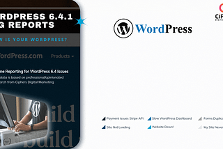 What You Need to Know About WordPress 6.4 and Its Impact on Your Website