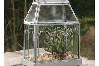 archway-glass-terrarium-1