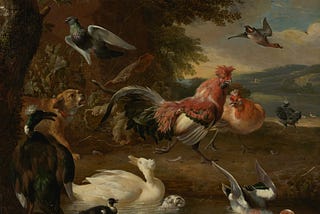 Fact Checking Animal Myths We Were Told As Children