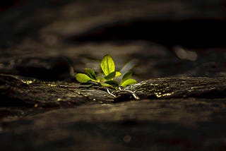 Nothing Worthwhile Comes Easily — Not At First