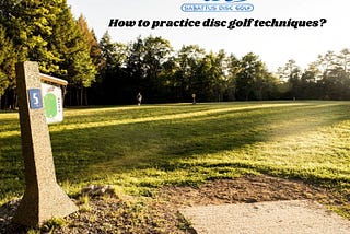 How to practice disc golf techniques?