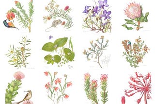 Florilegium — Celebrating Heritage and Beauty of Botanicals