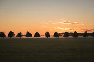 People and Trees