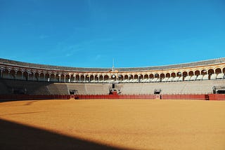 The Man in The Arena.