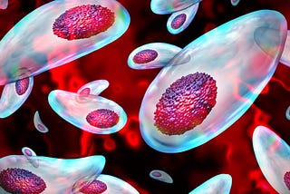 A common parasite can decapitate human sperm − with implications for male fertility