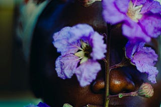 Contos de Salvação