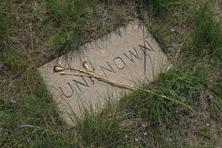 Dead flowers laying on a gravestone.