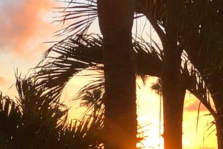 Weather Review: 11/9/18