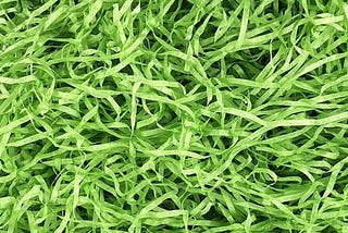 asekonc-1-2-lb-easter-green-grass-green-raffia-grass-super-large-pack-recyclable-paper-shred-for-eas-1