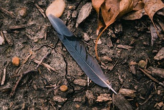 Feather Leaf