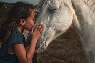 The Calming Presence of Horses