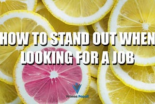 How To Stand Out When Looking For A Job