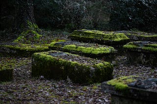 A cluster of old box tombs, partially covered in a light green moss, occupy a graveyard shaded by trees and bounded by a hedge.