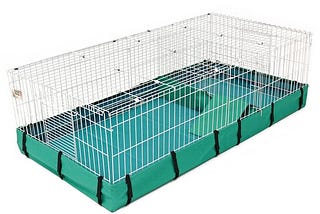 midwest-guinea-pig-habitat-plus-1