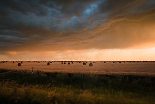 Qui veille au grain pour demain ?