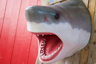 A fake shark head on a wall.