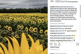 How Did National Geographic Become the Most Followed Brand?