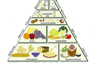 Why We Need a Food Guide Pyramid for Our Media Diet