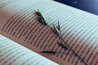 Menu Bacaan dan Topik yang Saya Tayangkan dalam Bahasa Indonesia