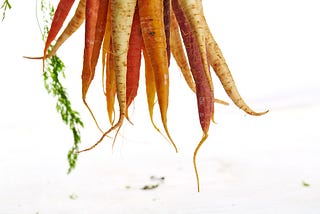 carrots hanging down into the picture from the top