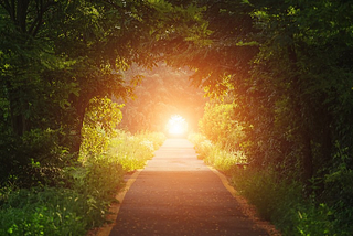 What is Hearticulture?