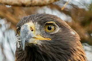 It CAN Only Good Happen