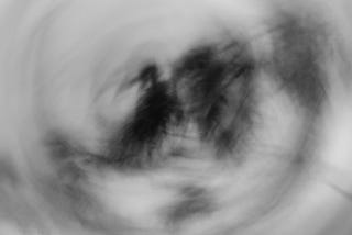 A blurry, nightmarish black and white photo of a bird sitting on a tree branch