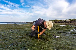 Verified Carbon Removals Could Restore Trust In Carbon Credits