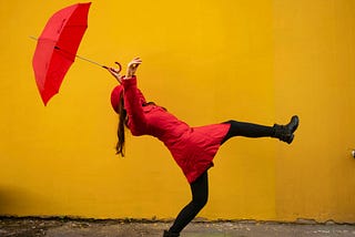 +Birds are Gonna Fly