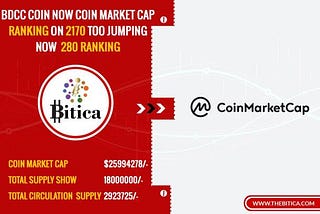 Bitica Weekly Report 3