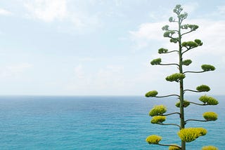 A Trip to Binary Tree Traversal