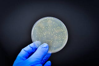 Antibiotic-Resistant Bacteria.