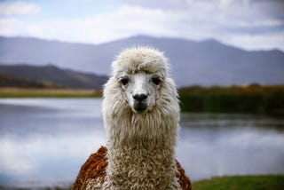 Where to Use Llama 3.1 405B Base Model via API