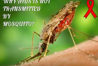 WHY AIDS IS NOT TRANSMITTED BY MOSQUITOES?