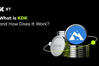 What Is KDK? Understanding Kodiak’s Role in the Berachain DeFi Ecosystem