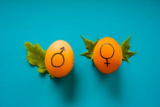 Two eggs with gender symbols drawn on them.