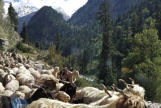 A Walkthrough Parvati Valley with 10 Mesmerizing Real-Life Pictures