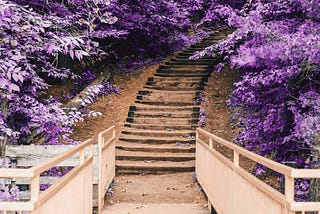 Steps