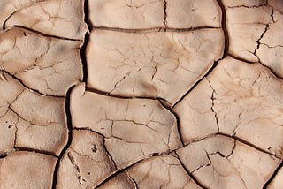 Dried-out earth, cracked and warped.