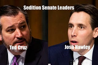 Cruz and Hawley are Traitors to the U.S
