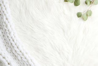 edge of white knit blanket next to a furry white blanket a sprig of green leafs